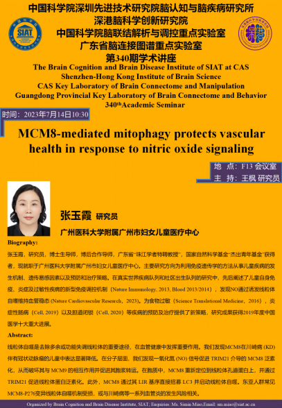 MCM8-mediated mitophagy protects vascular health in response to nitric oxide signaling